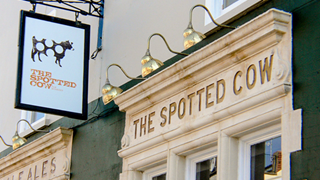 Spotted Cow Bristol10
