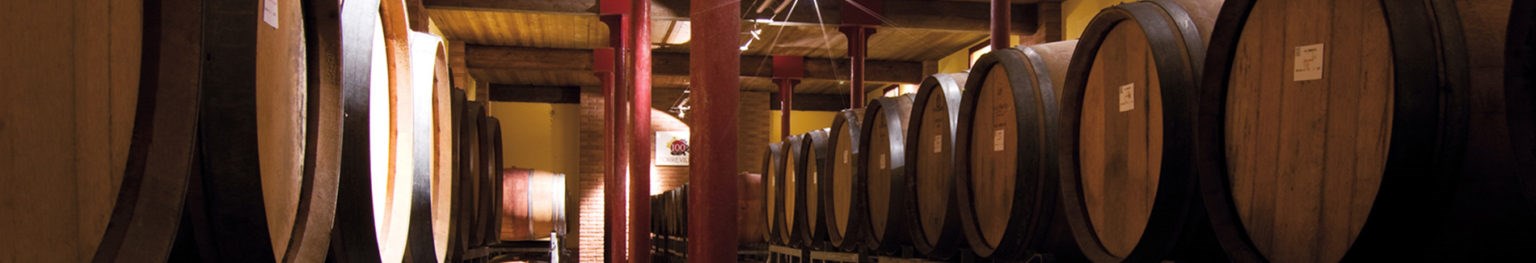 Italy Food and Wine 23