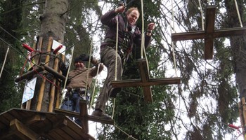 Tree Top Challenge at Go Ape Bracknell