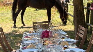 Agara Horses (3)