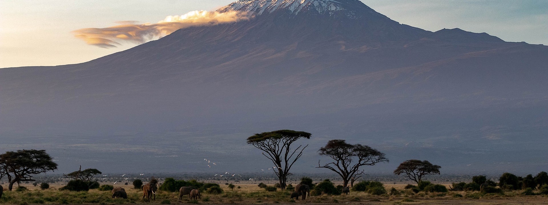 Kilimanjaro in distance