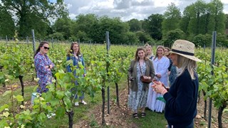 Hampshire Wine Tour 3