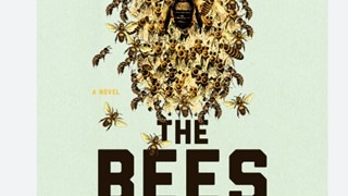 the bees