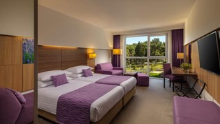 Hotel Punta Croatia standard park view room