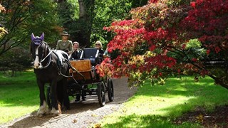 Saville Garden Carriage Ride