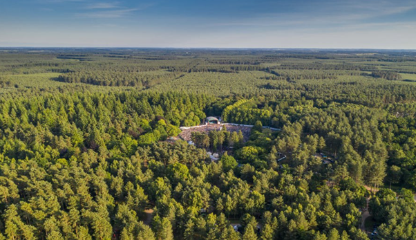 Forest live Westonbirt Arboretum3