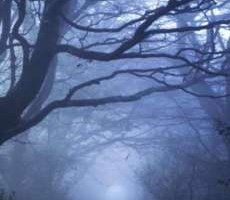 Spine Tingling Tales at Erasmus Darwin House