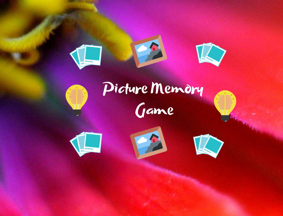 Picture Memory Quiz (1)