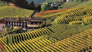 Italy Food and Wine 23