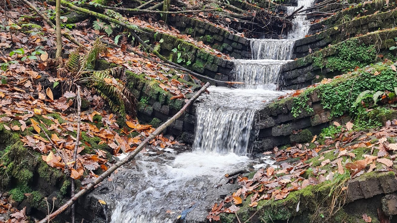 Haigh Plantation Stream Autumn