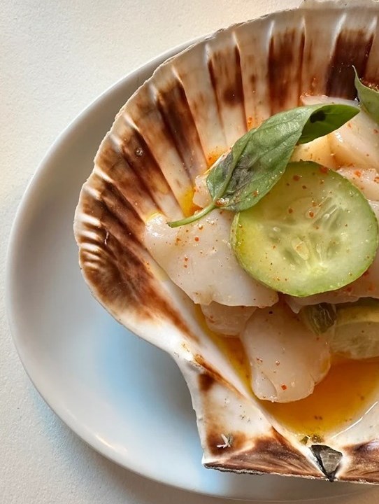 Winsome Scallop