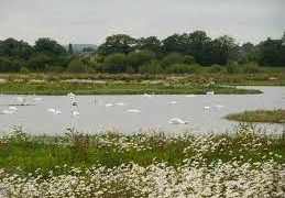 middleton lakes
