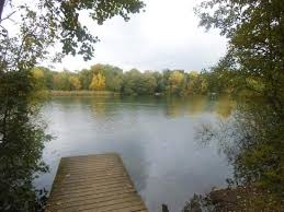 dinton pastures (3)