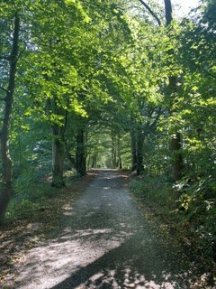 Alderley Edge Alderley Park Lesley Beech