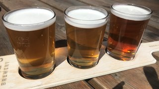 Beer Tasters Tasting