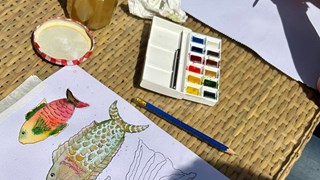 An Introduction to Watercolours in the garden 2