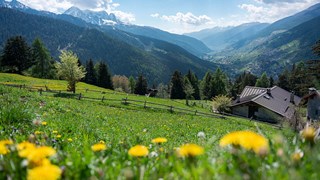 Sport Hotel Vittoria passo tonale scenic1