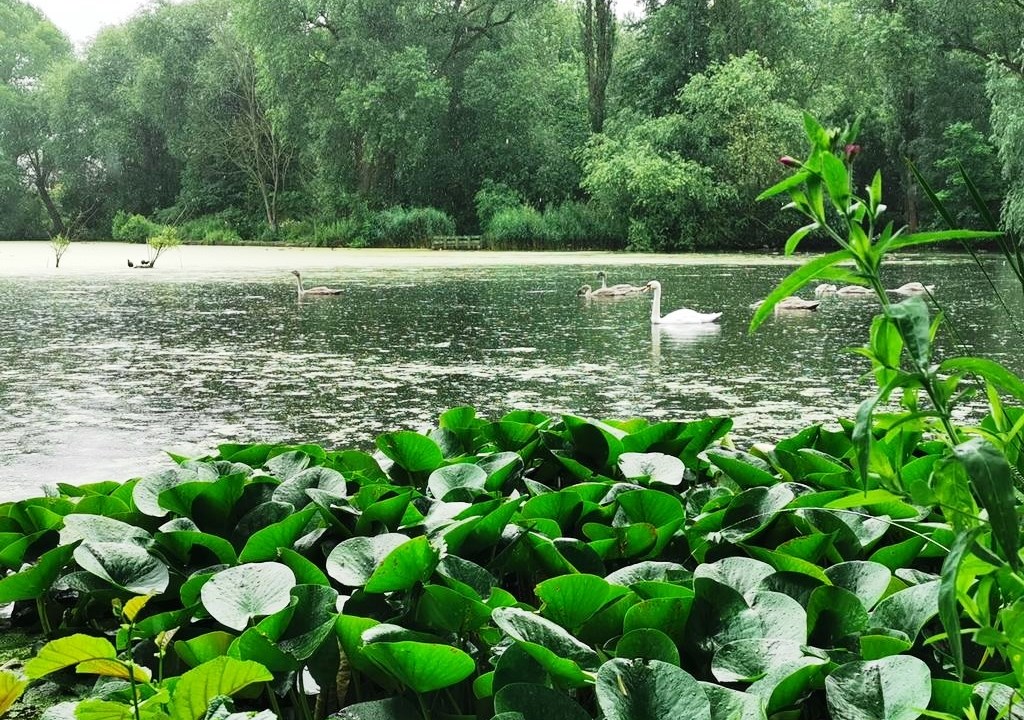 Timperley King George V Pool