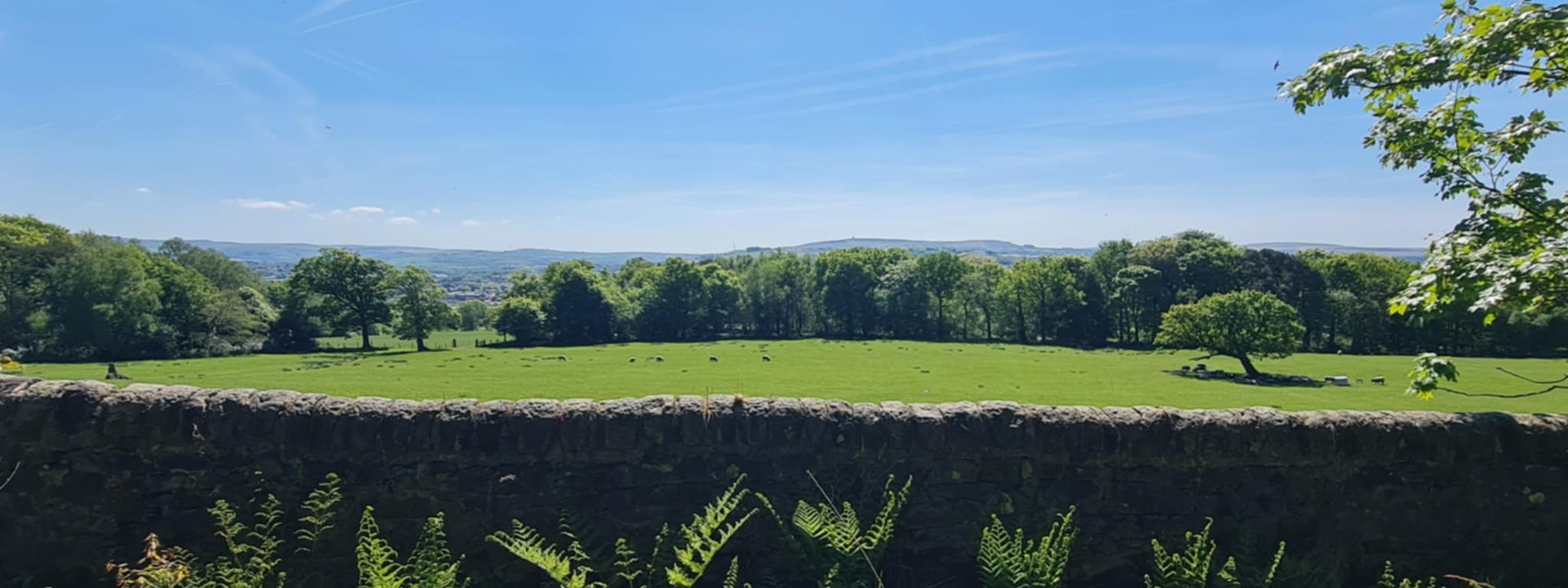 Witton Park Walk More Views