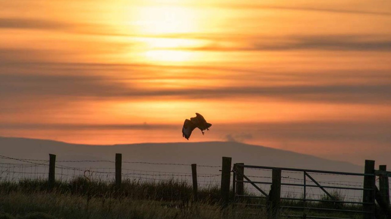 Springhill Farm Shropshire Welsh Border Sunset