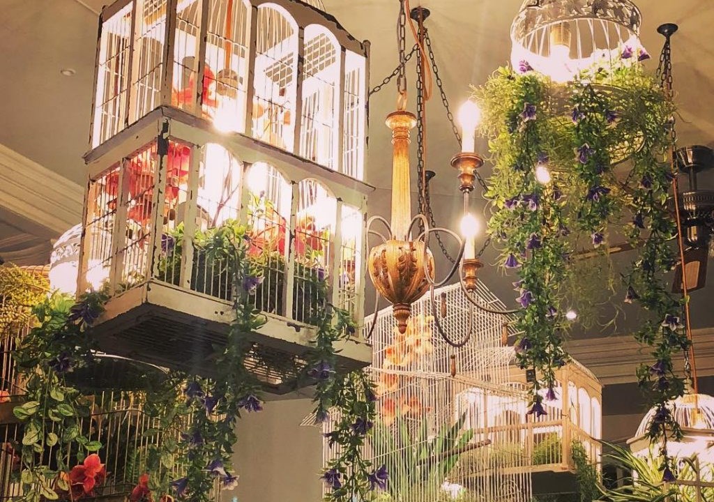 HouseofBotanicals