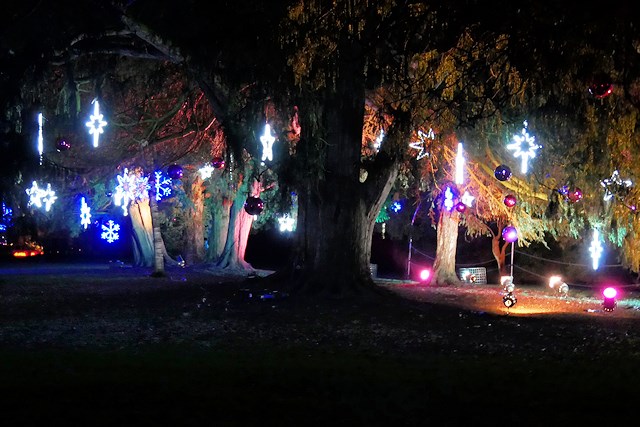 Dunham Massey's Magical, AfterDark, Illuminated Trail   2