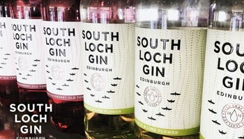 Gin and Cheese Tasting