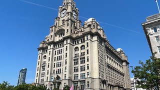 Liver building landscape