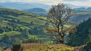 Springhill Farm Shropshire Welsh Border Countryside