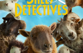 sheep detectives