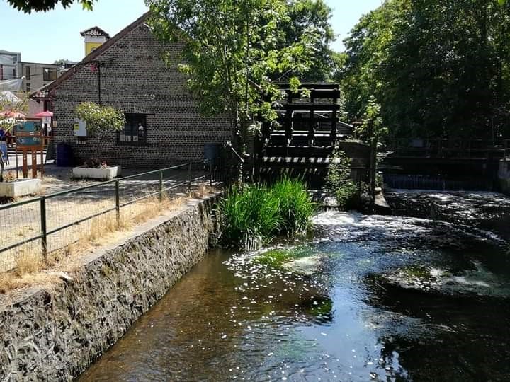 Linda sewing museum walk 6