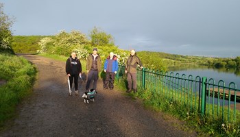 Evening Walk: Treeton Dyke from Aughton