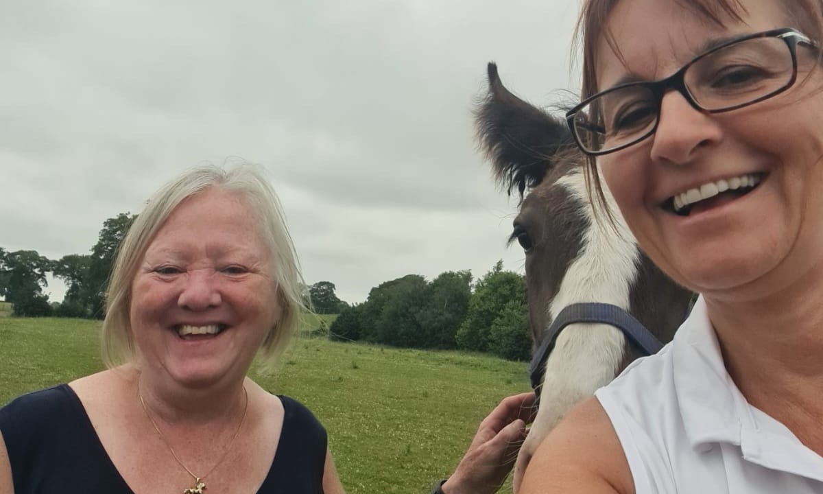 Day Cotebrook Shire Horses