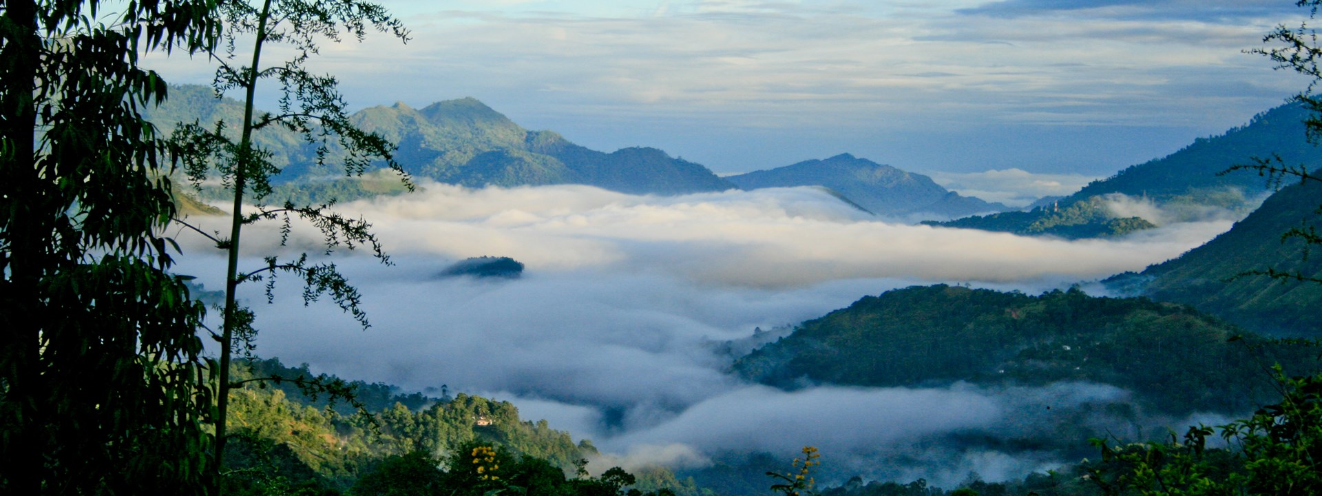 Sri Lanka Hill country