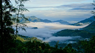 From Ancient Spires to Wild Tides: The Ultimate Sri Lanka Odyssey