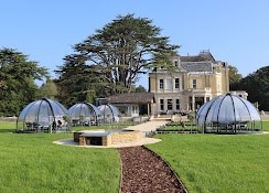 The Orange Grove 1