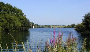 dinton pastures (2)