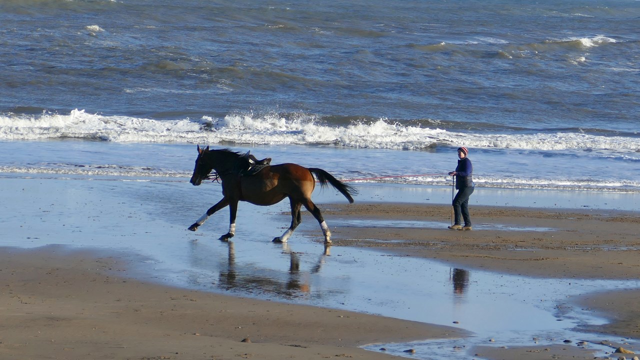 Walking Weekend Whitby Coast and Moors3