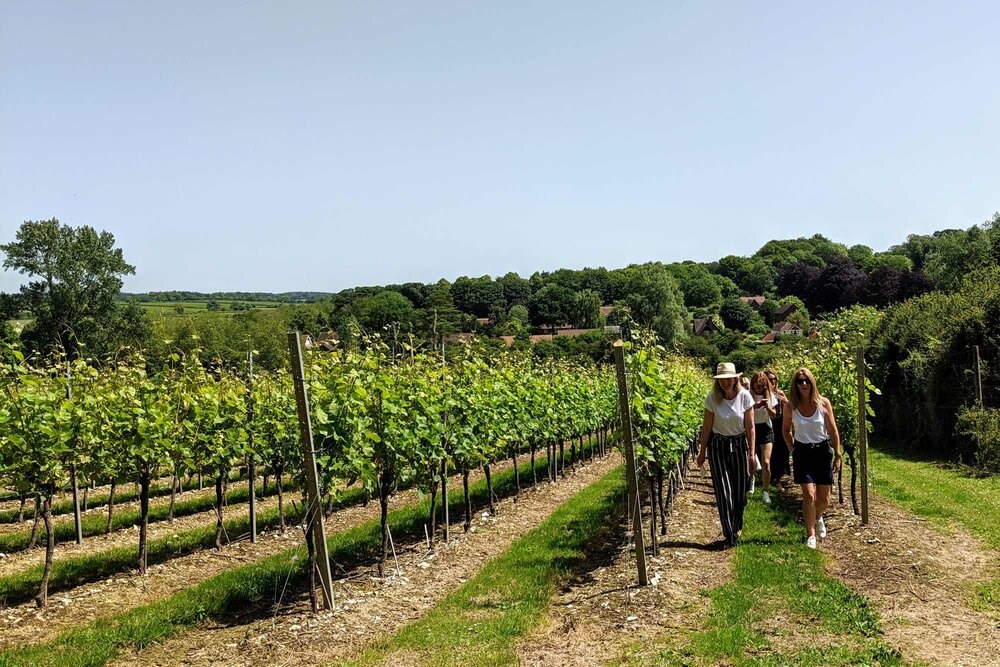 Hampshire Wine Tour 1