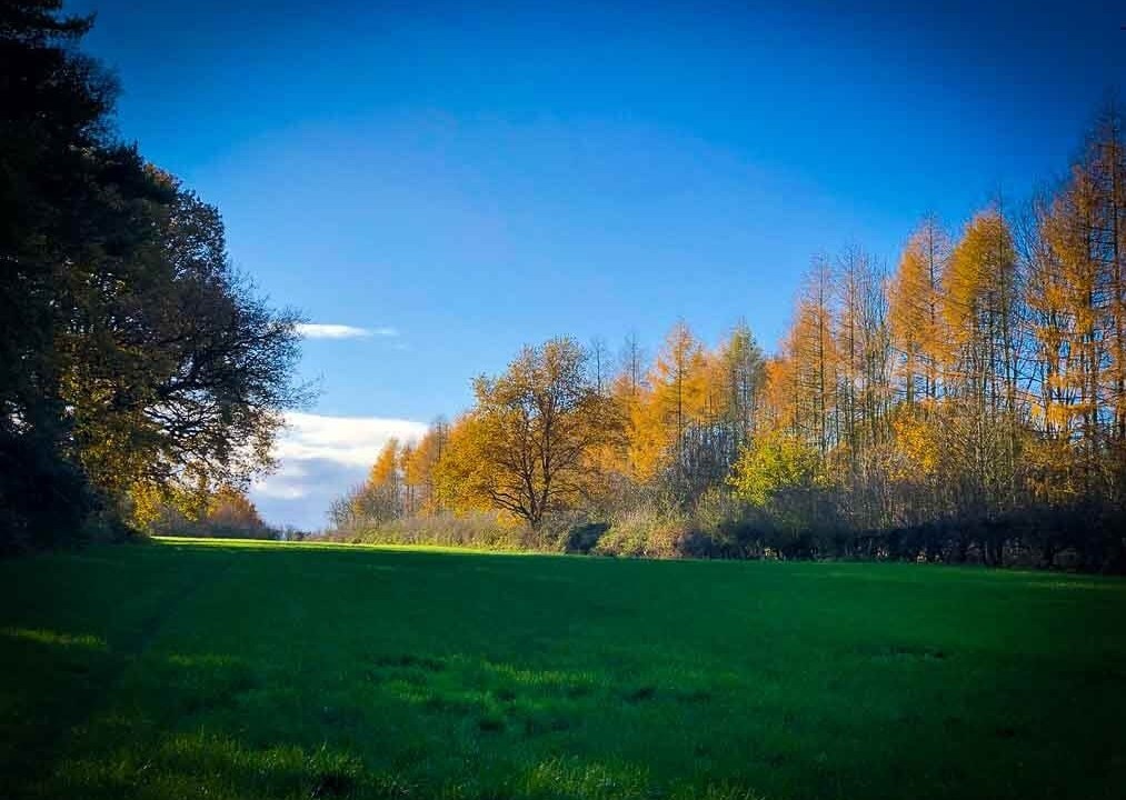 The National Forest Way Autumn Winter