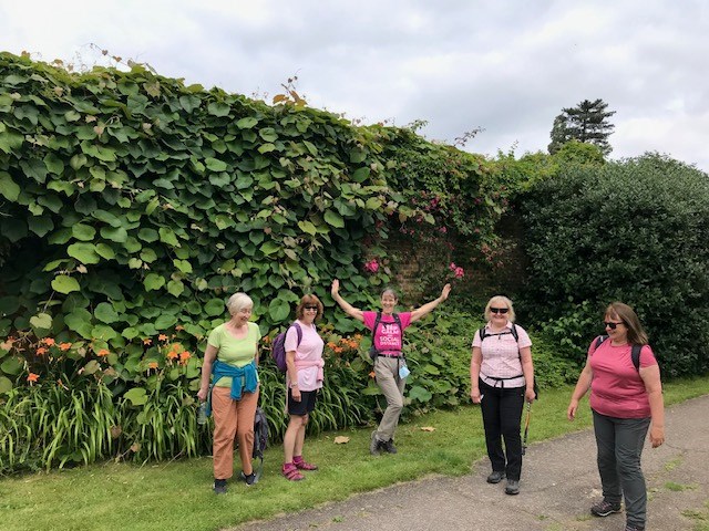 Shenley walk cheerie 1
