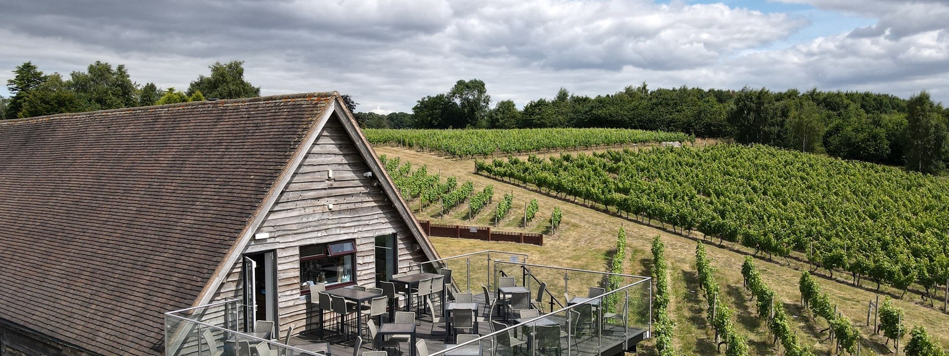 halfpenny vineyard