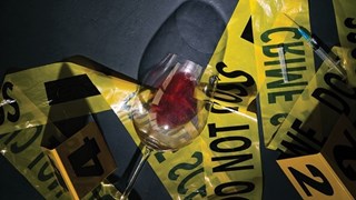 Harrogate Old Swan Murder Mystery