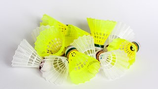 Sports Badminton (11)