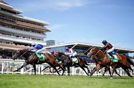 Newbury races