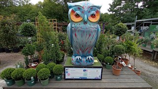 Alan Walk Owl Trail 1