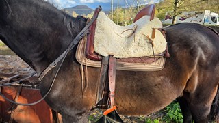 Agara Riding 26