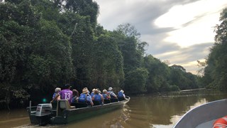 Kinabatangan River 7