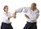 Beginners Aikido