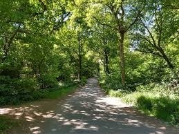 Bricket wood 1